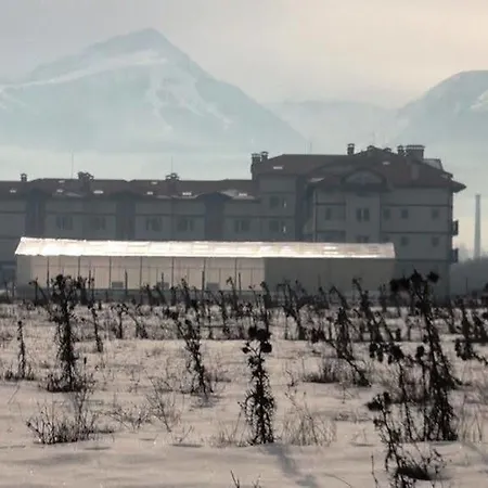 Отель Springs Баня